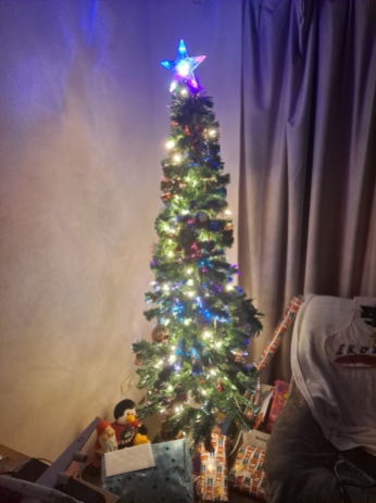 Our Christmas Tree shining bright in 2020. Copyright Lloyd Marken.